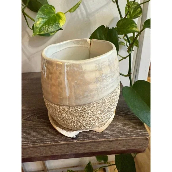 Textured Ceramic Planter with Saucer - Picture 7 of 10